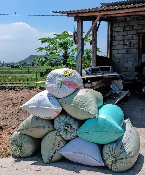 Solusi Lahan Subur: Rekomendasi Pupuk Organik Kohe Kambing Terjangkau di Prambanan