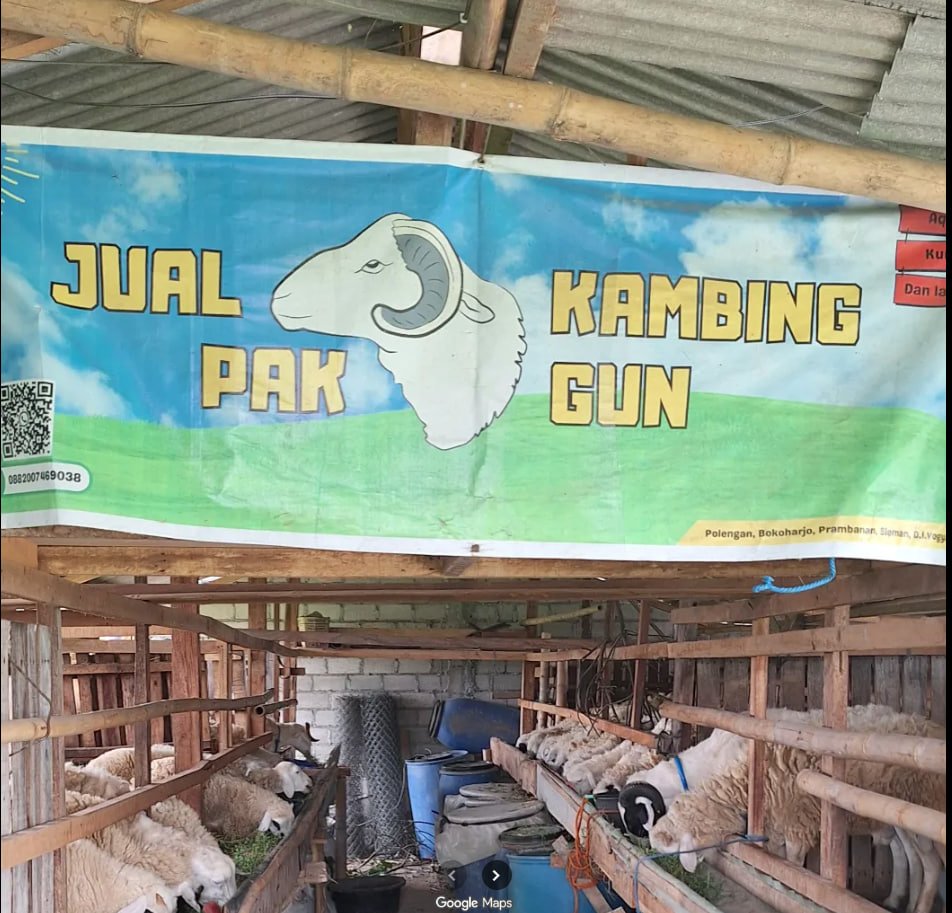 Kandang B